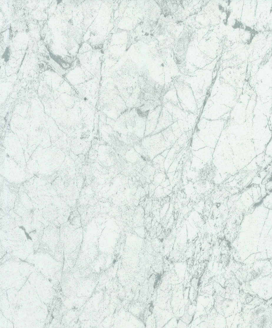 Panel de ducha White Marble Brillante de 10 mm (1 m x 2,4 m)