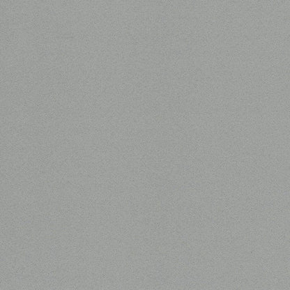 Panel de ducha Grey Shimmer Brillante de 10 mm (1 m x 2,4 m)